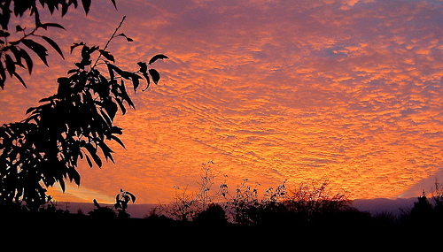 Carte Virtuelle Coucher De Soleil